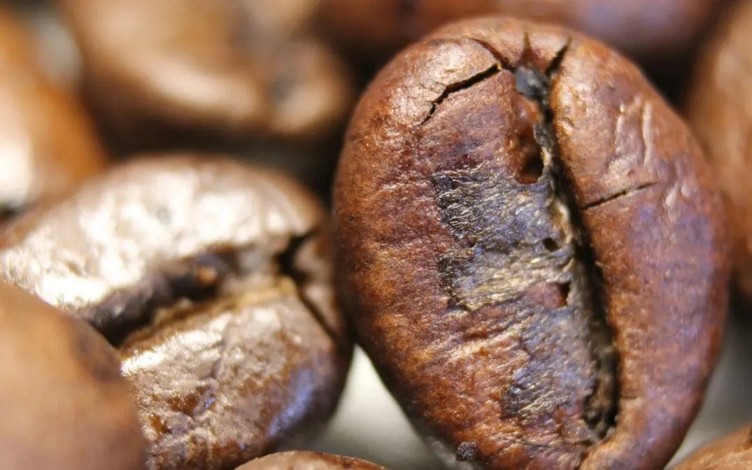 Know Your Coffee Beans