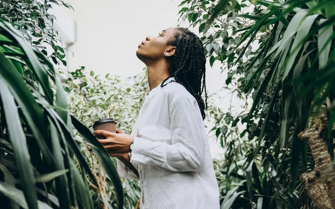 Keeping Coffee Affordable Amid Environmental Challenges