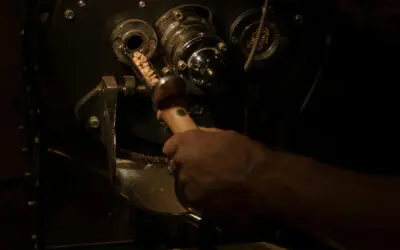 Customizing Roast Profiles to Highlight Varietal Flavours