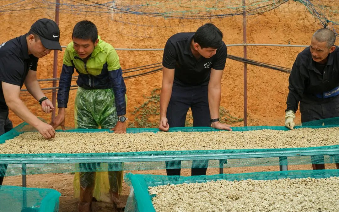 Fair Labour Practice and Sustainable Farming Methods: The Hidden Pattern