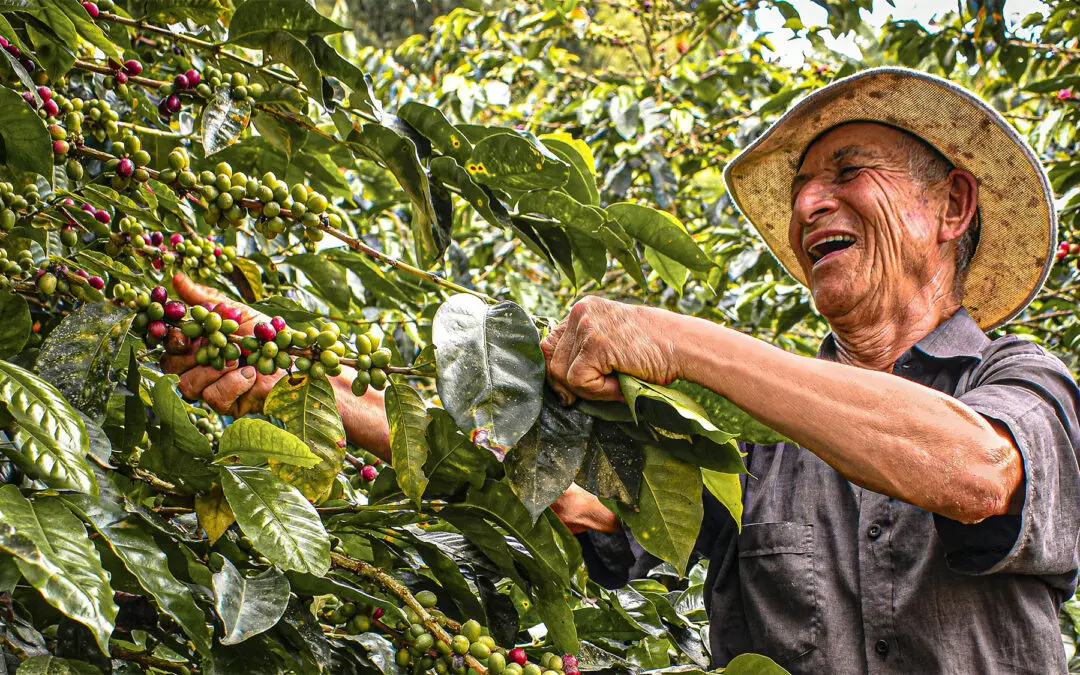 Coffee Selection – Supporting Cooperatives and Small-holder Farmers