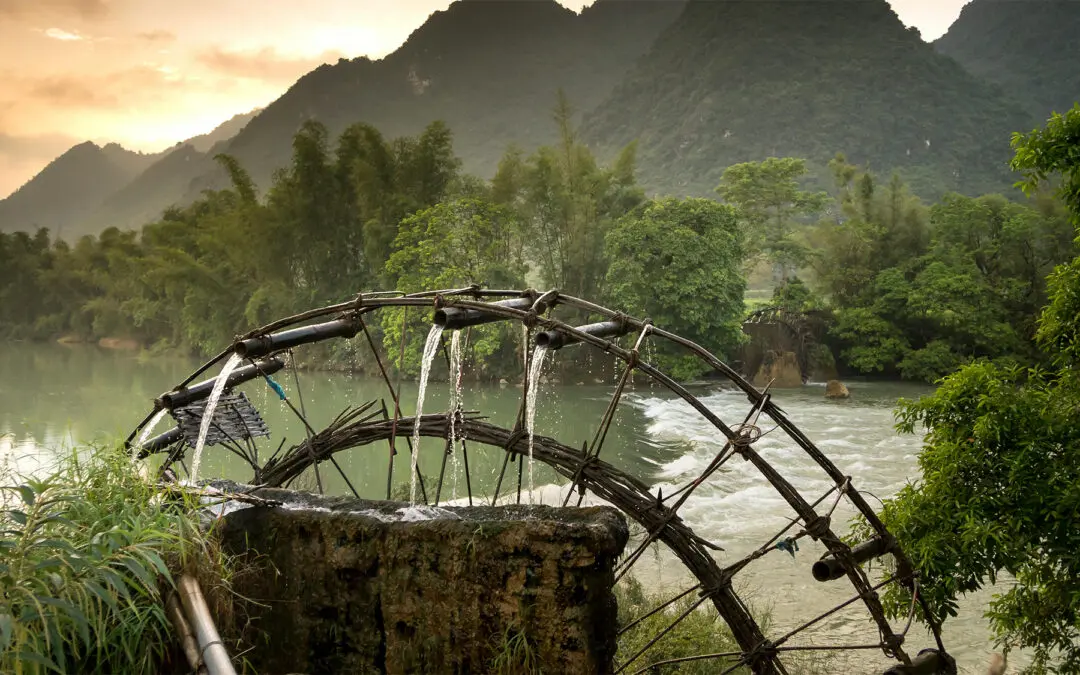 The Impact of Water Scarcity on Coffee Production