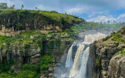 Ethiopia – The Birthplace of Coffee