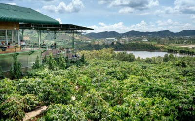 The Environmental Impact of Fair Trade Coffee Processing