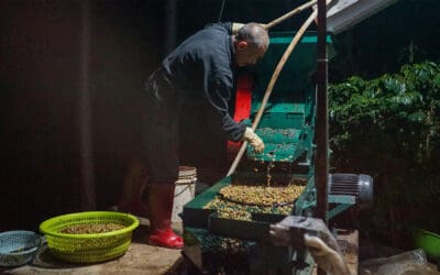 Wet Milling – the Mechanics, Objectives and Outcomes