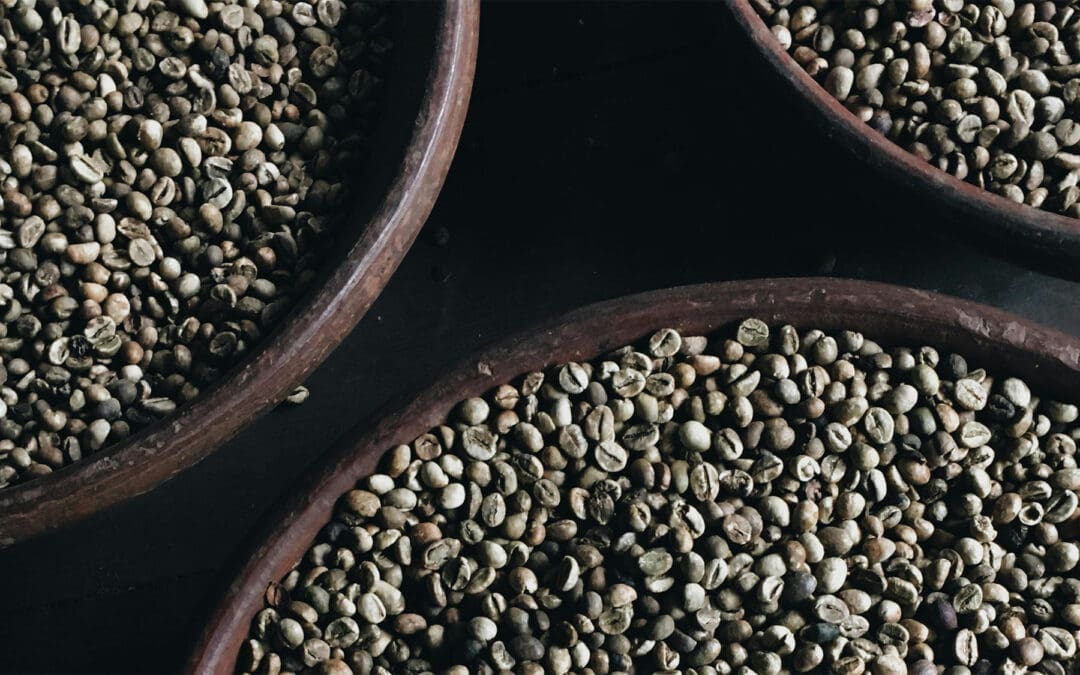 How Coffee Bean Selection Drives Extraction Control