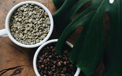 Espresso-Specific Coffee Varietals and Their Characteristics